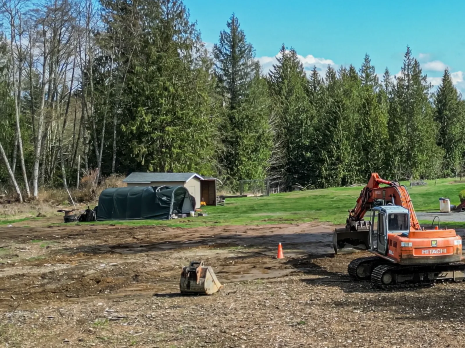 A tracked excavator standing on cleared, worked ground, with a line of standing conifers behind